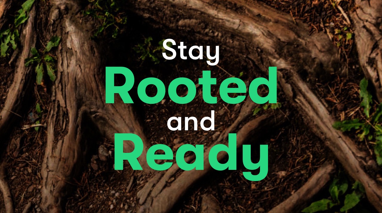 Stay Rooted and Ready