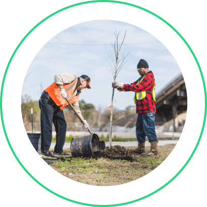 Two men planting a tree sapling in a field